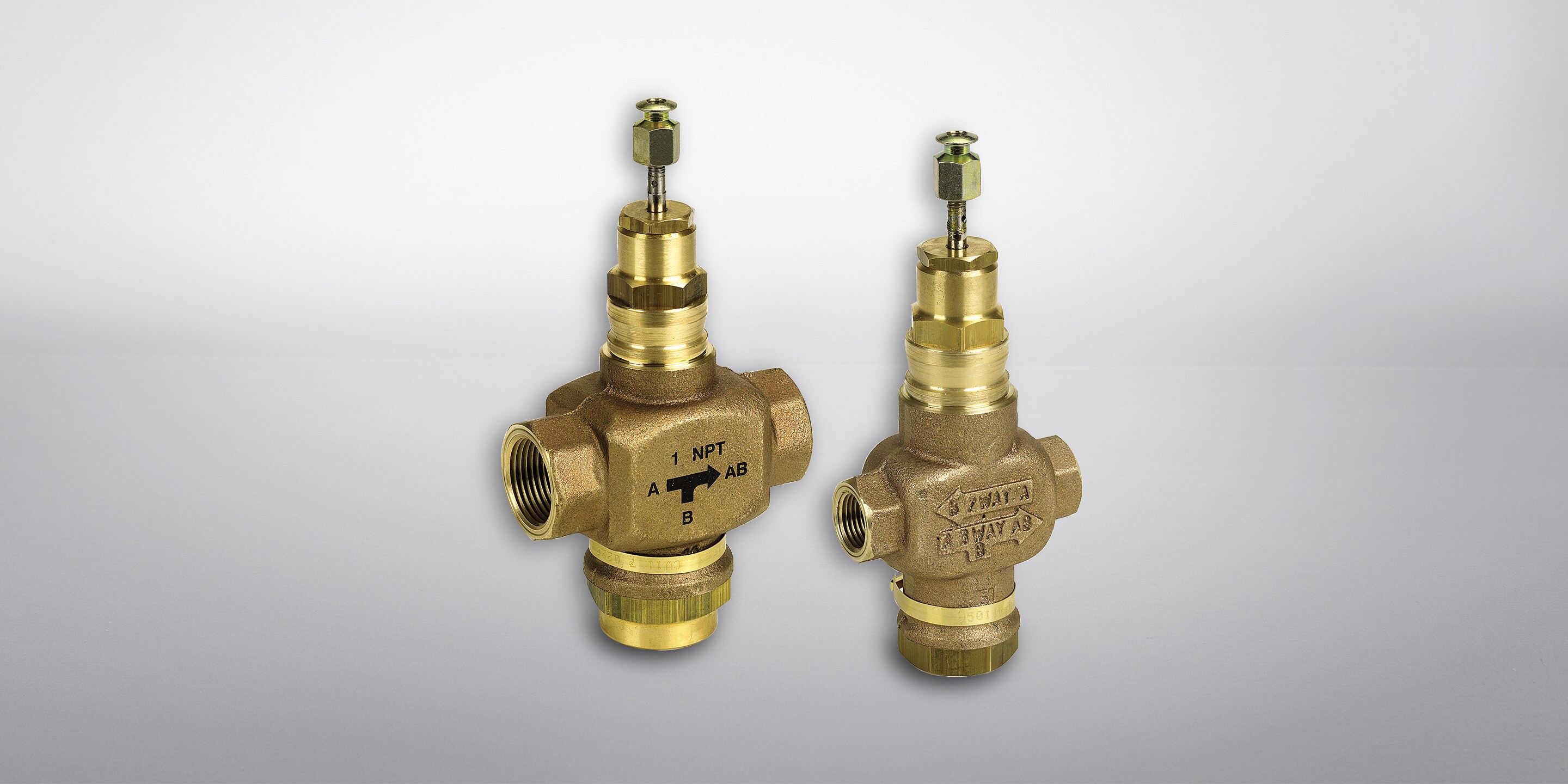 Globe Valves