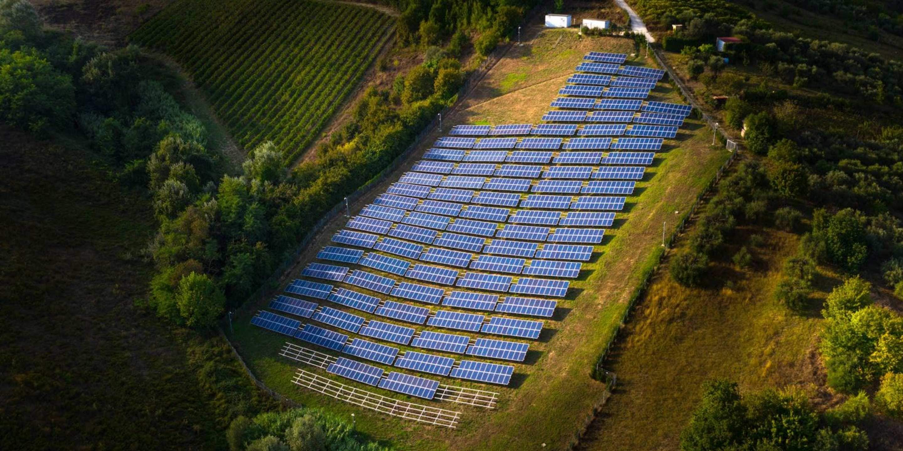 Solar panels in a field.