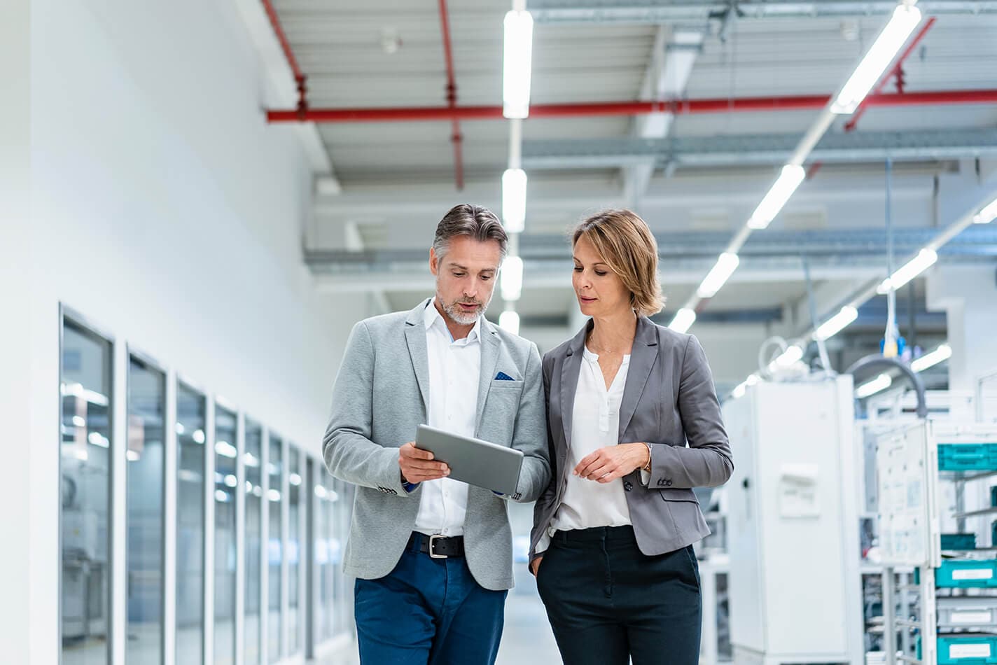 Consultant and client