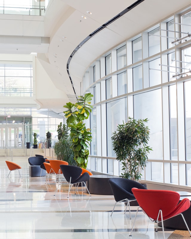 Coworkers walking and using bicycle on office's lobby - with face mask