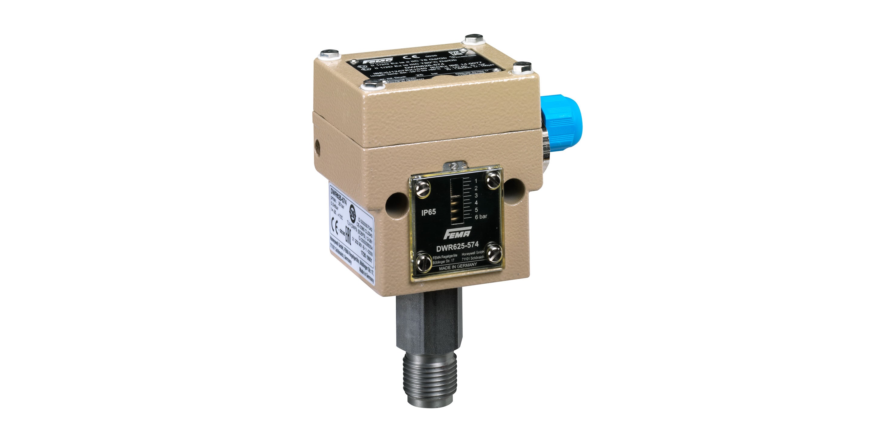 FEMA Monitor product