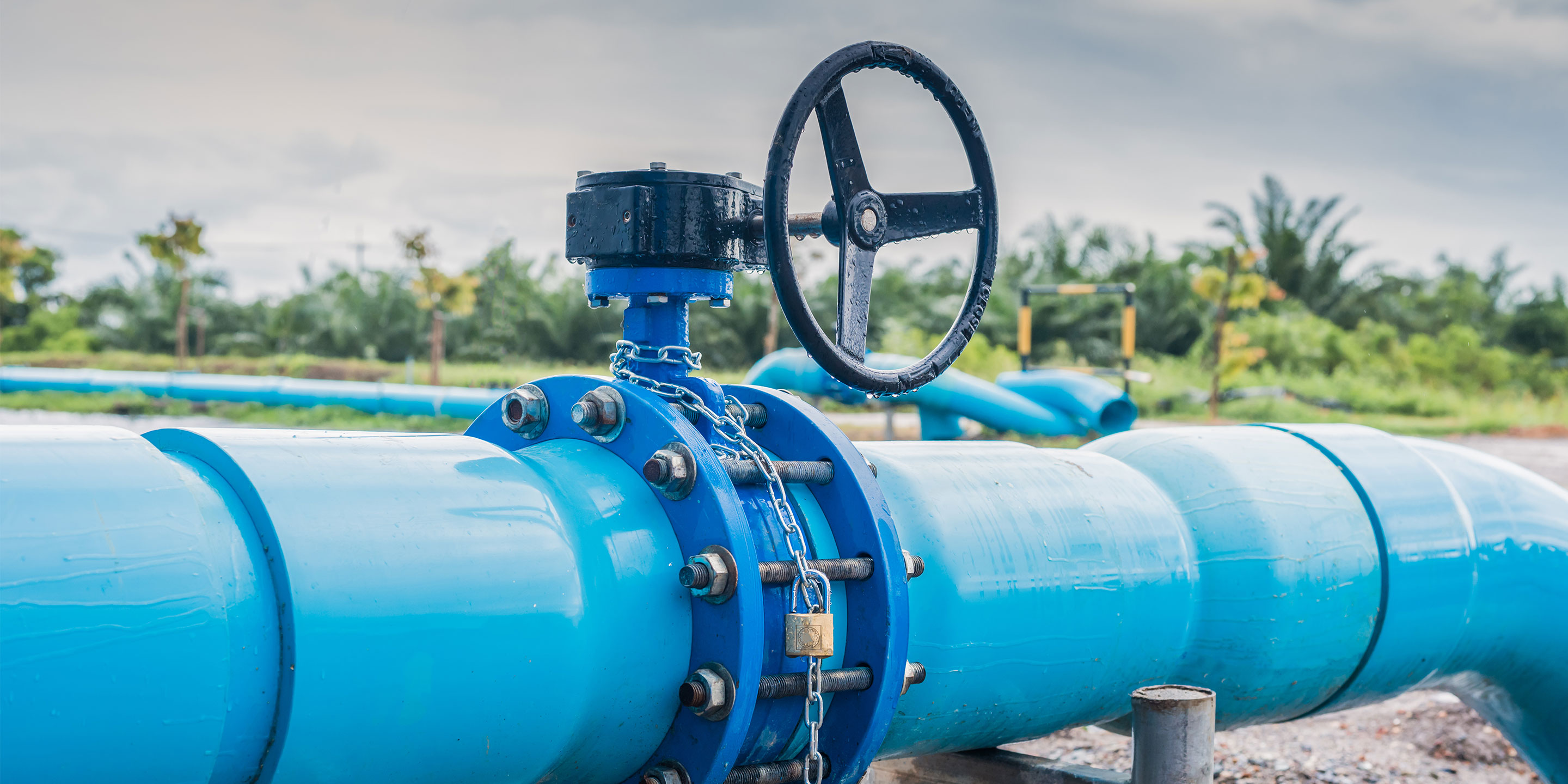 Water valve