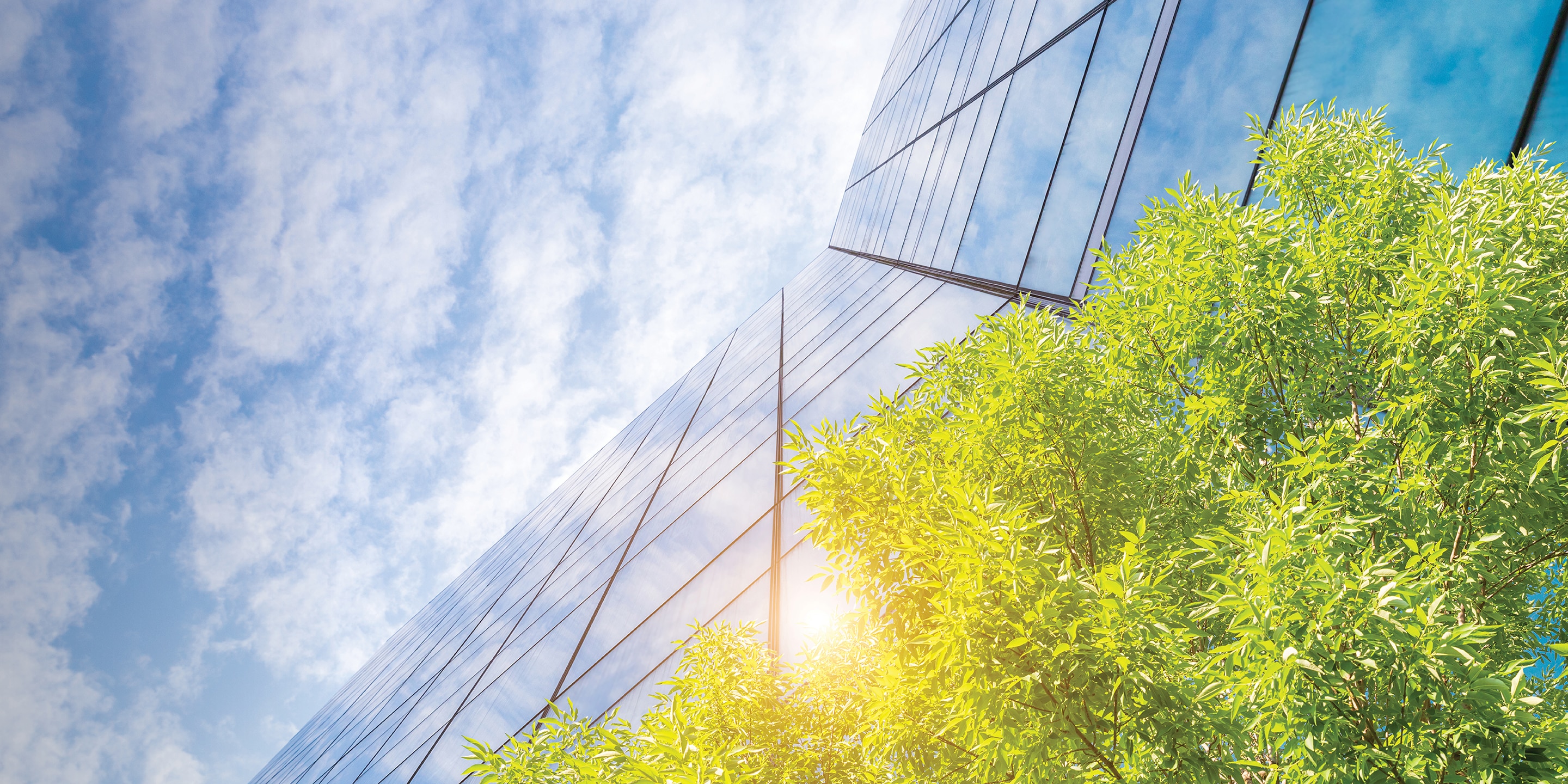 View of the exterior of an office buiding, looking up.