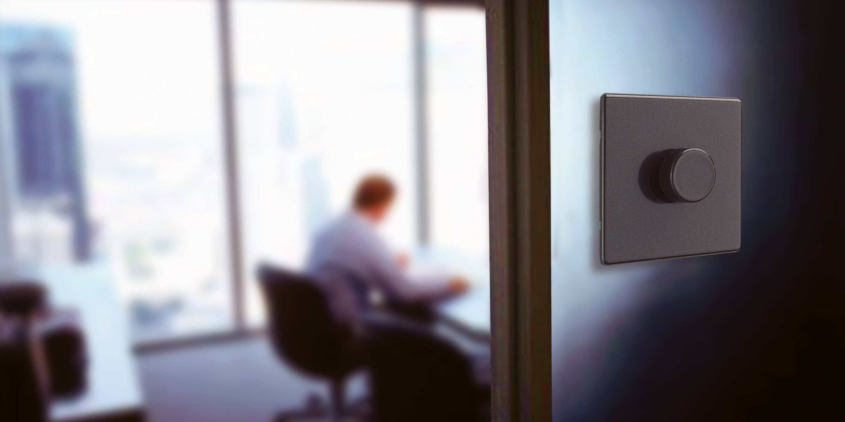 Decorative product in office 