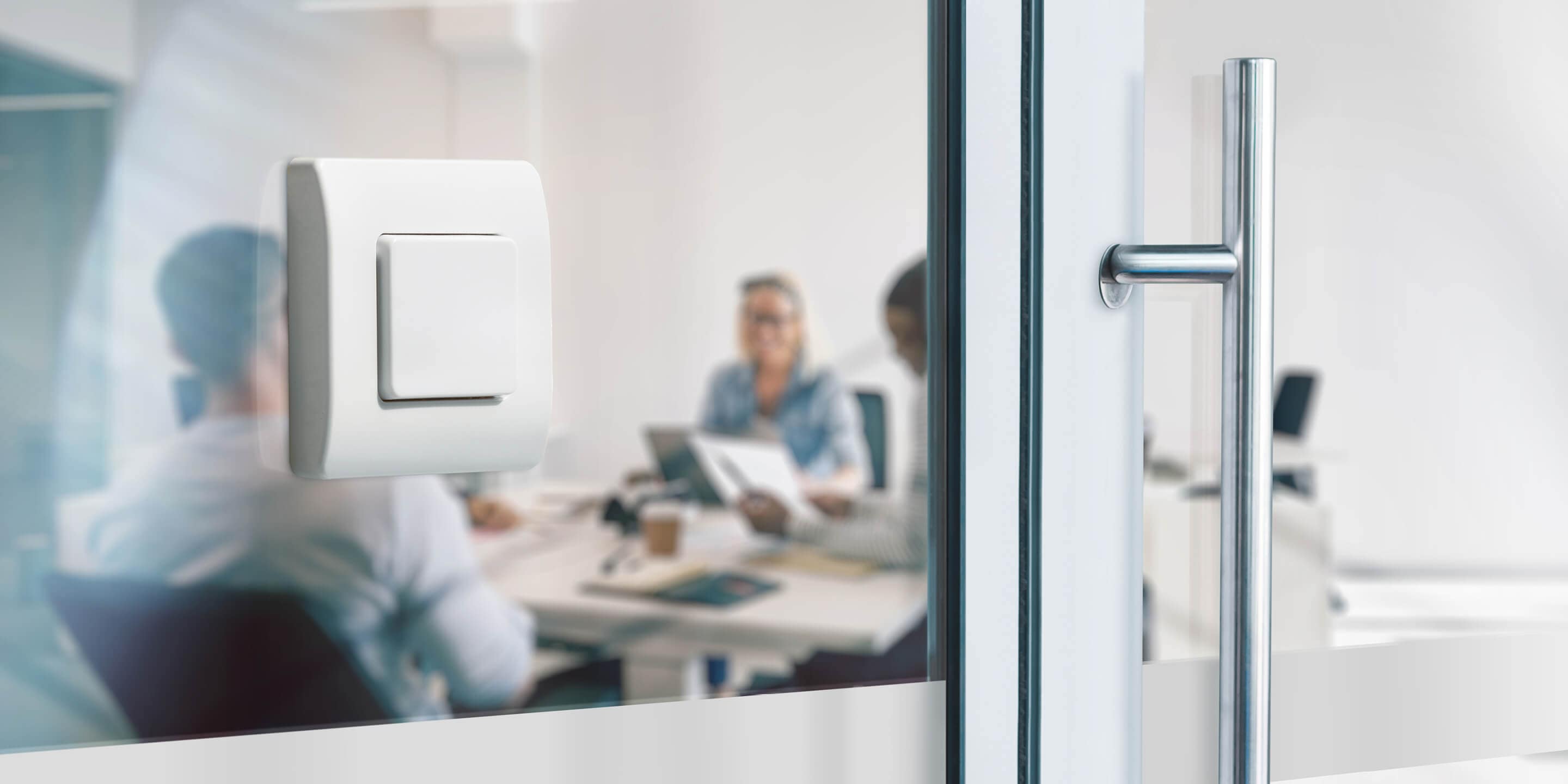 White Echo in office