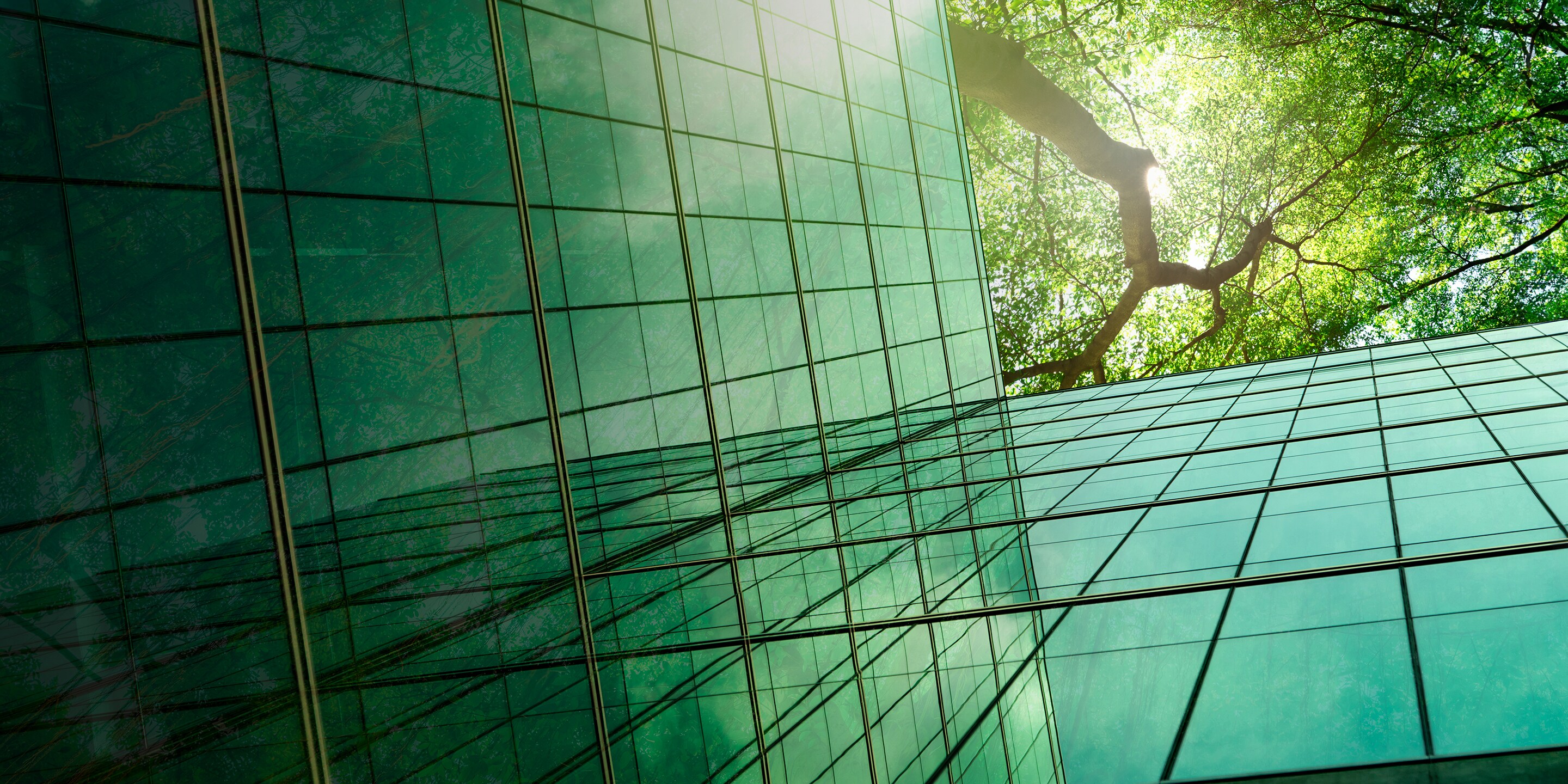 BUILDING SUSTAINABILITY AND ENERGY RESILIENCE, AT A GLANCE
