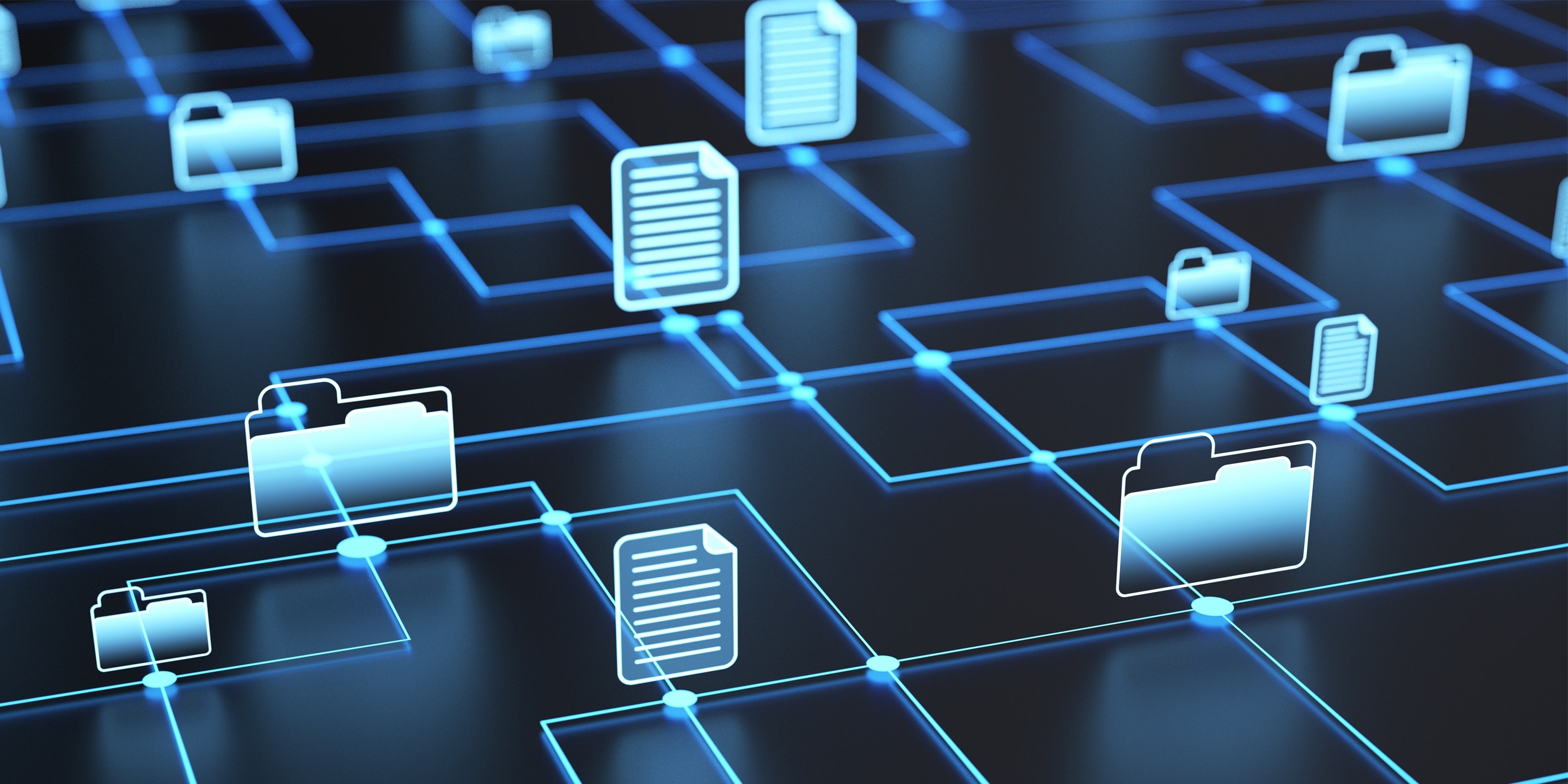 Network