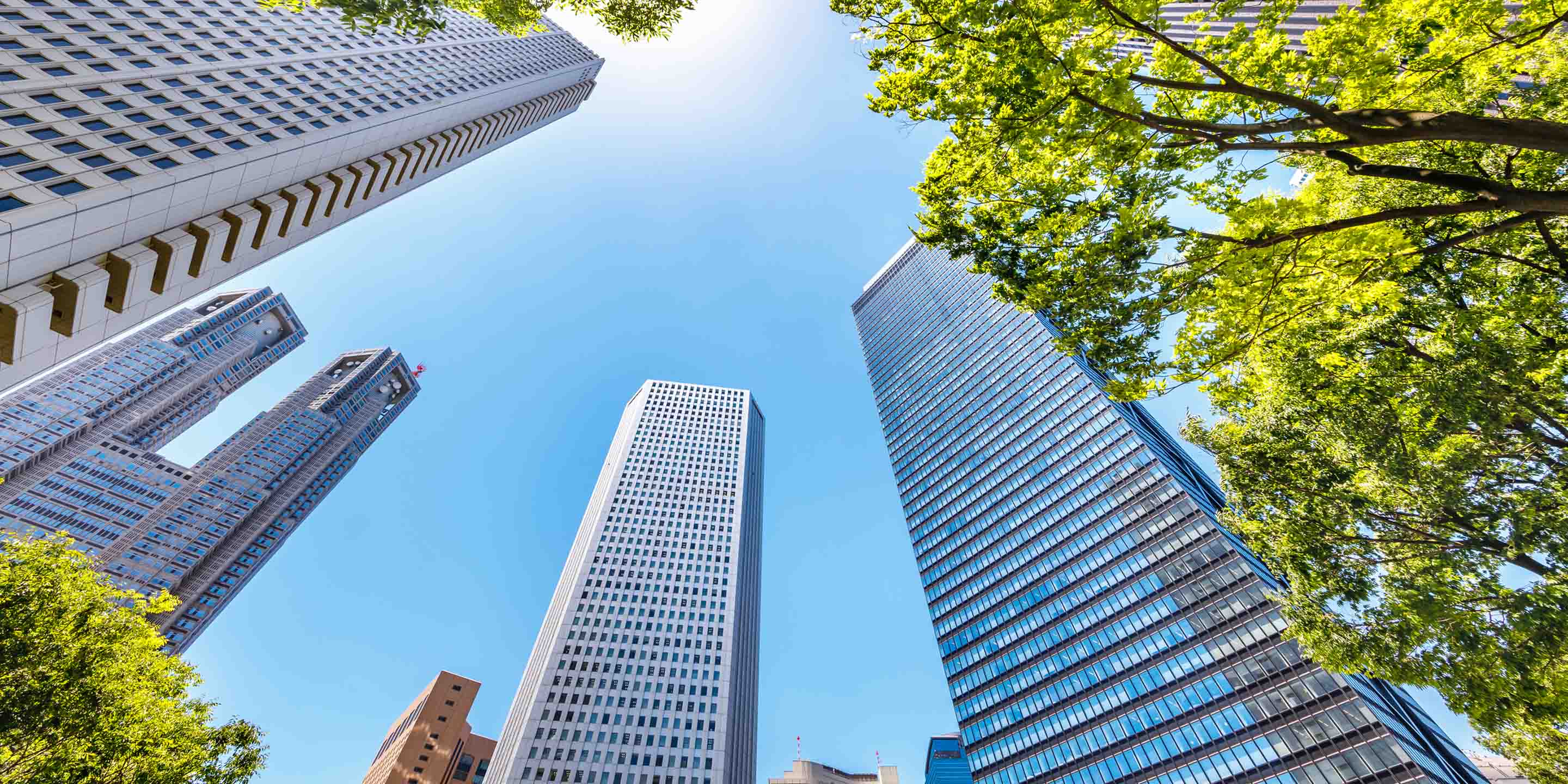An upward view of tall skyscrapers surrounded by lush green trees, set against a bright blue sky with the sun shining overhead. The image captures the harmony between urban architecture and nature.