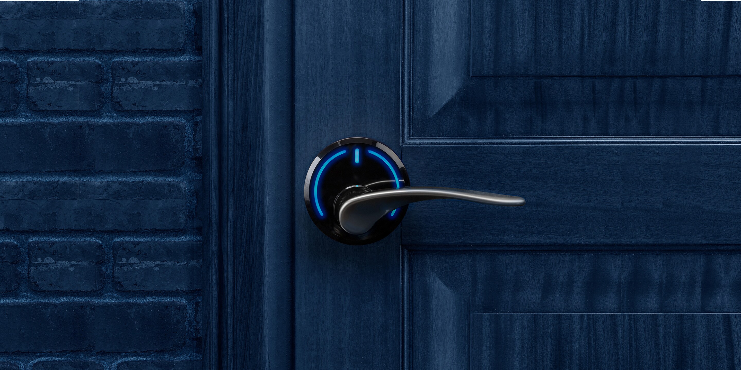 Onity serene brushed handle blue door