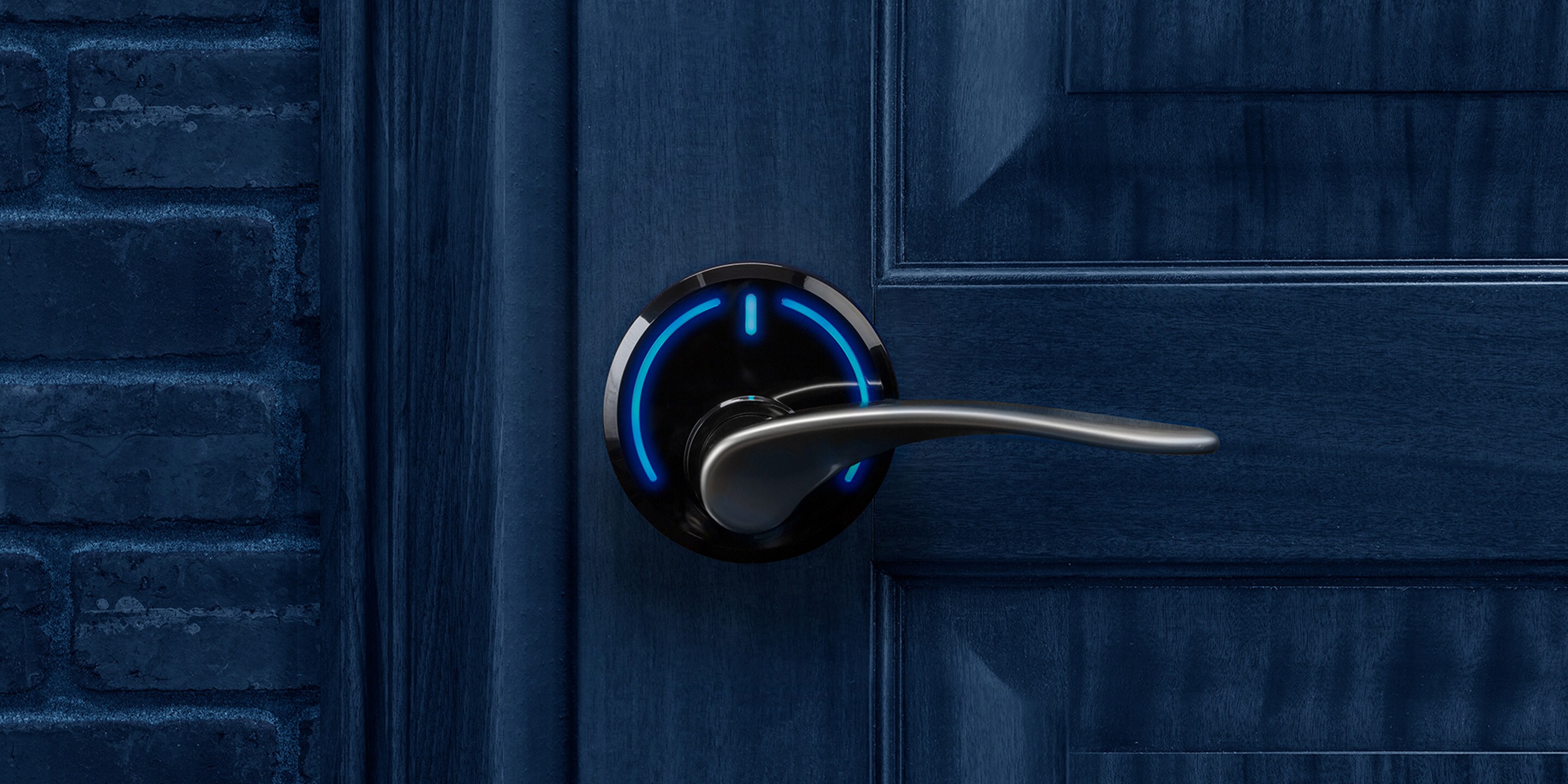 Onity serene brushed handle blue door