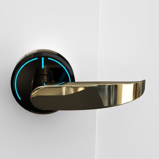 Onity Serene handle granada polished brass