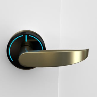 Onity Serene handle granada satin brass