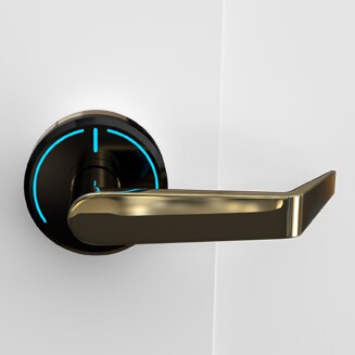 Onity Serene handle toledo polished brass