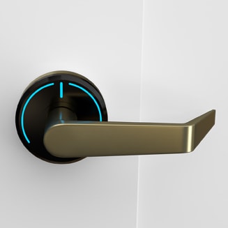 Onity Serene handle toledo satin brass