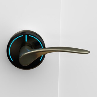 Onity Serene handle wing antique brass
