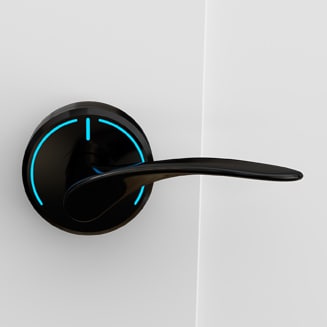 Onity Serene handle wing black chrome