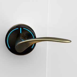 Onity Serene handle wing satin brass