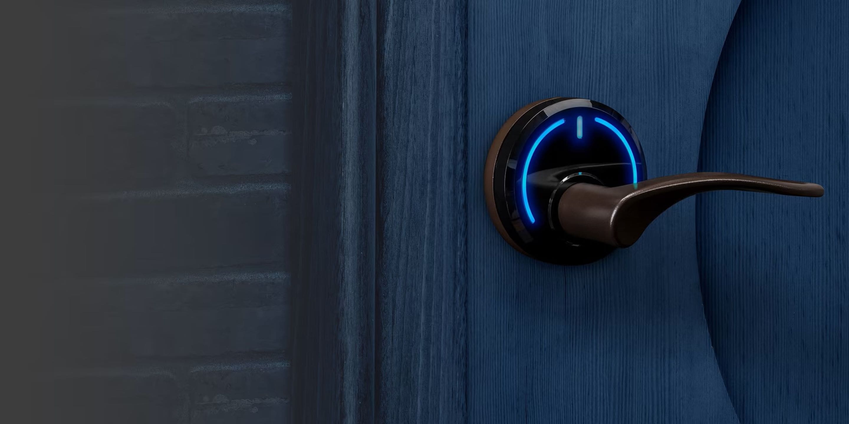 Onity Serene Lock Angeled Blue Door Image