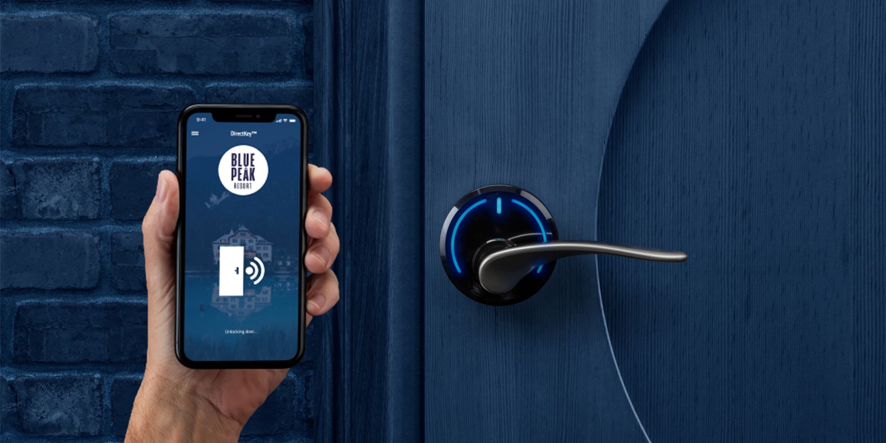 Onity serene brushed handle blue door