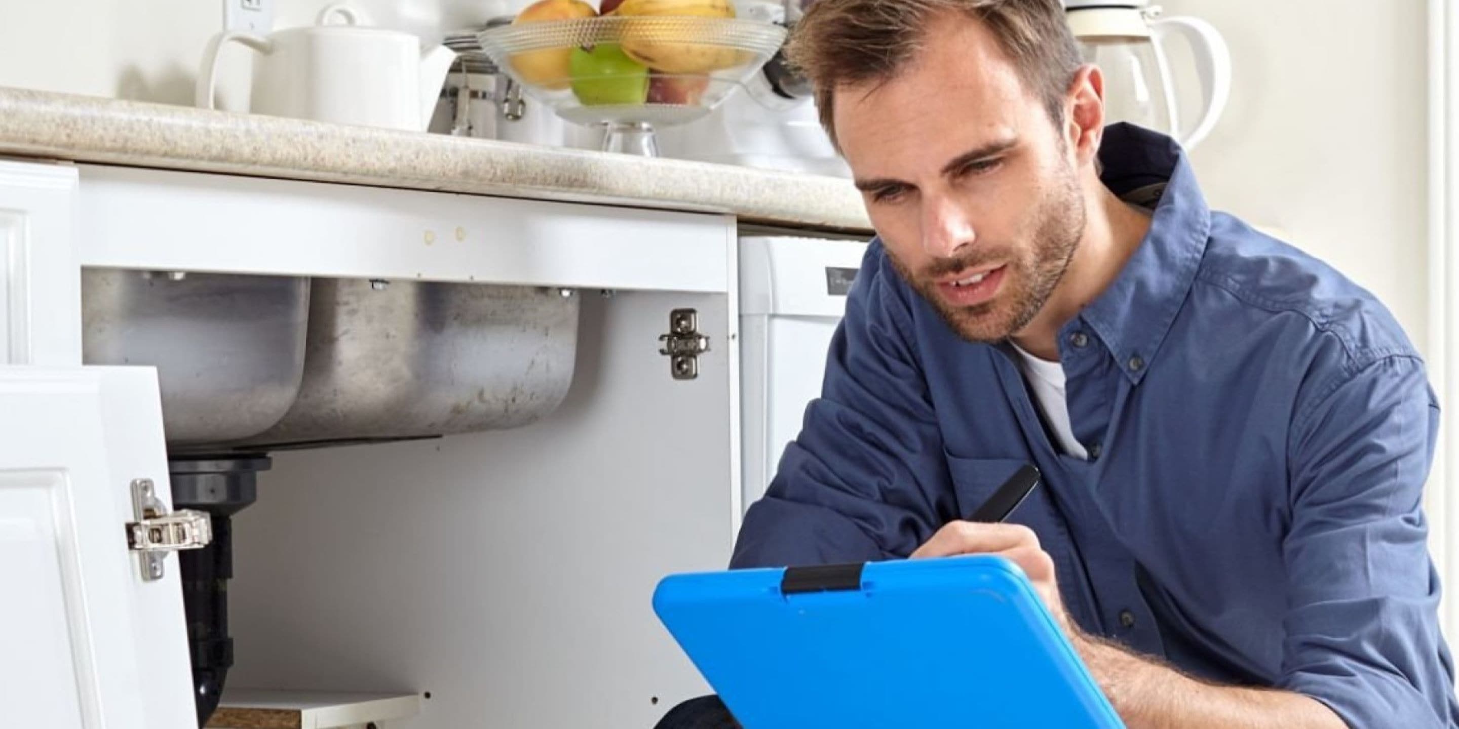 Male house inspector