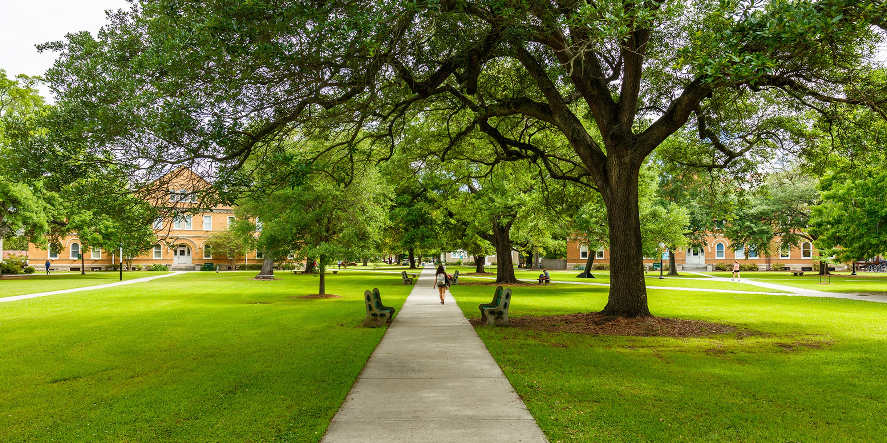 University campus with trees