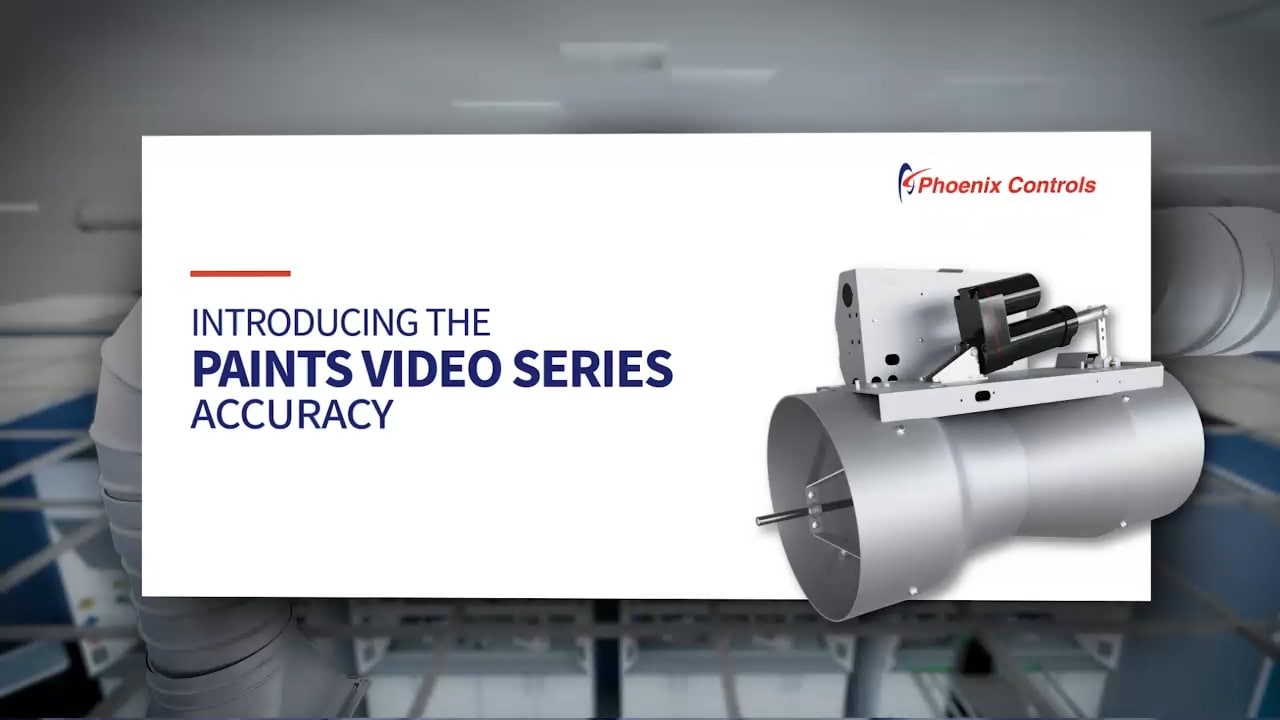 PAINTS Video Series Accuracy