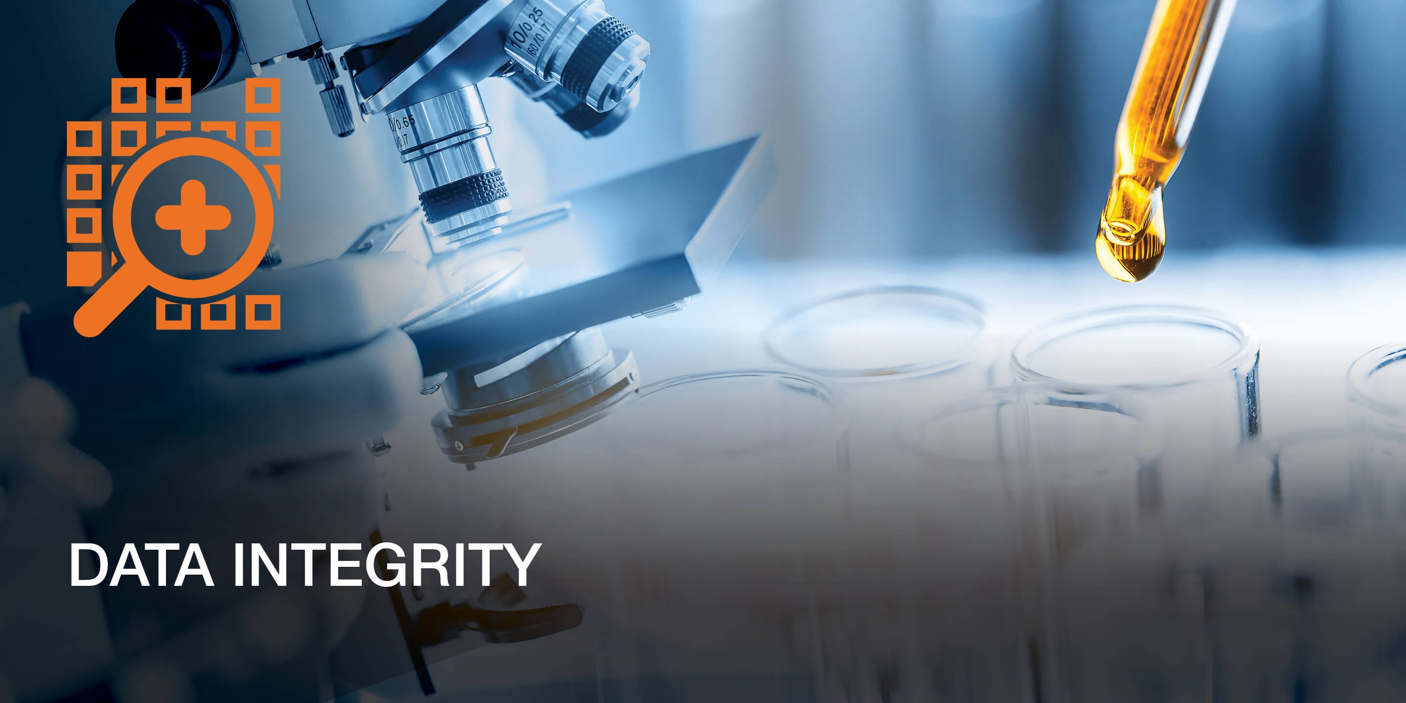 Data Integrity