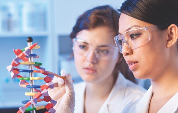 Spectra Shield Product